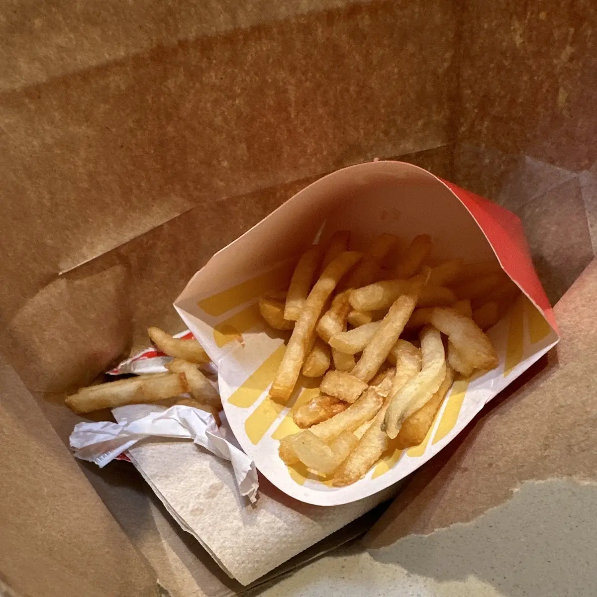 World Famous Fries