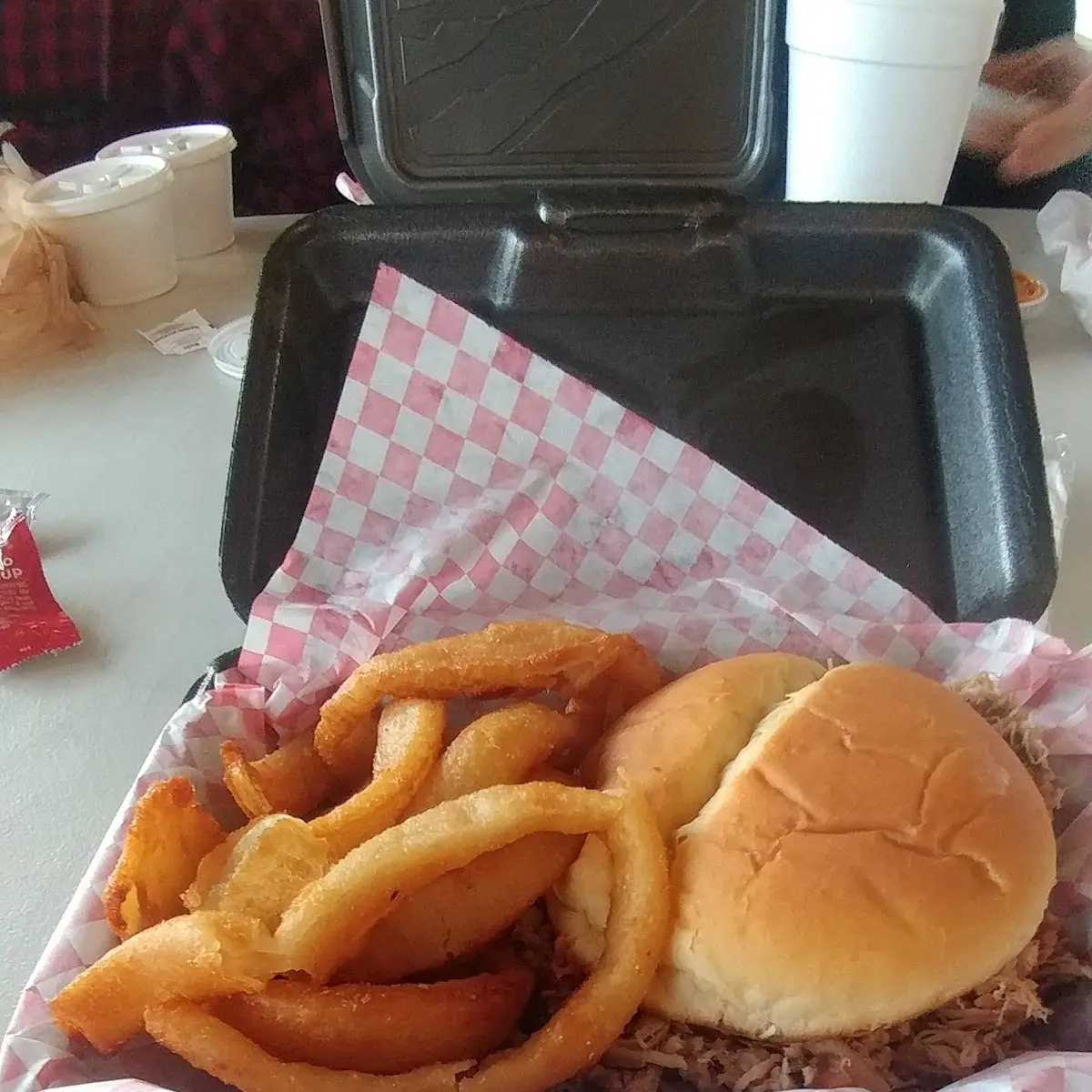 Pulled Pork Sandwich and Onion Rings