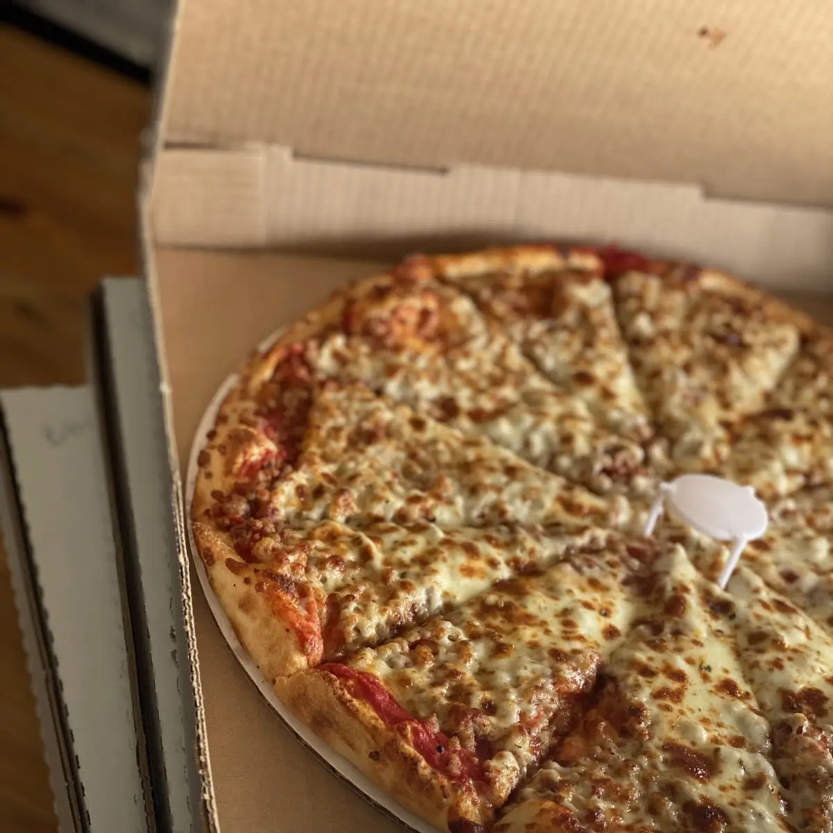 Just Cheese Pizza