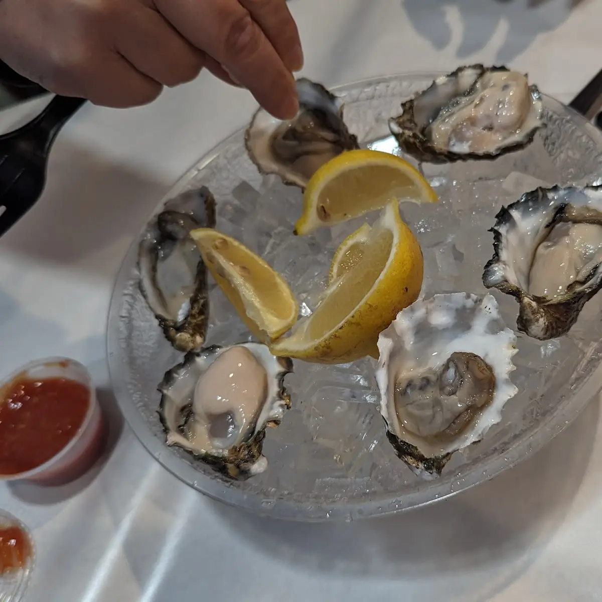 Raw Oysters