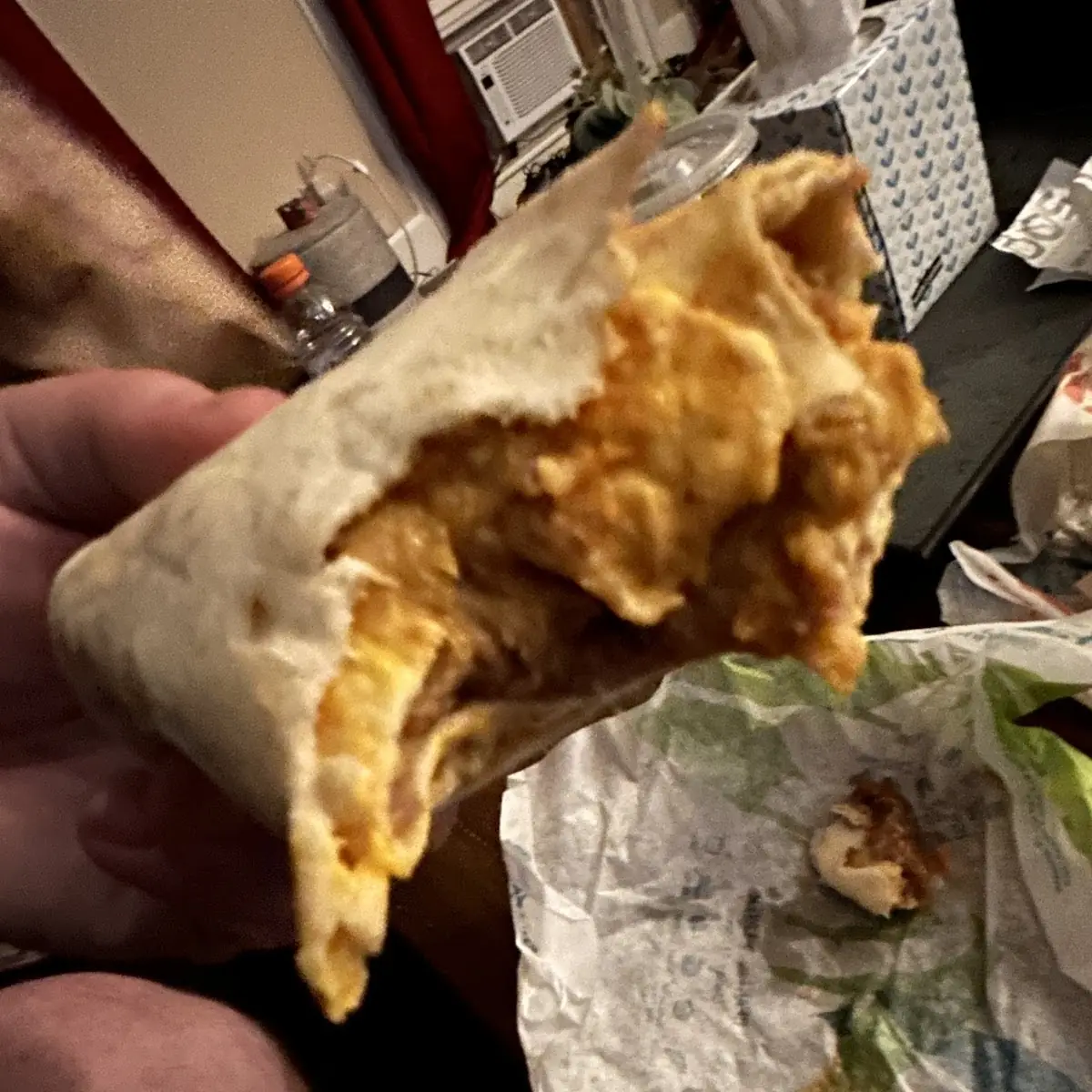 5 Layer Burrito w Hair in It