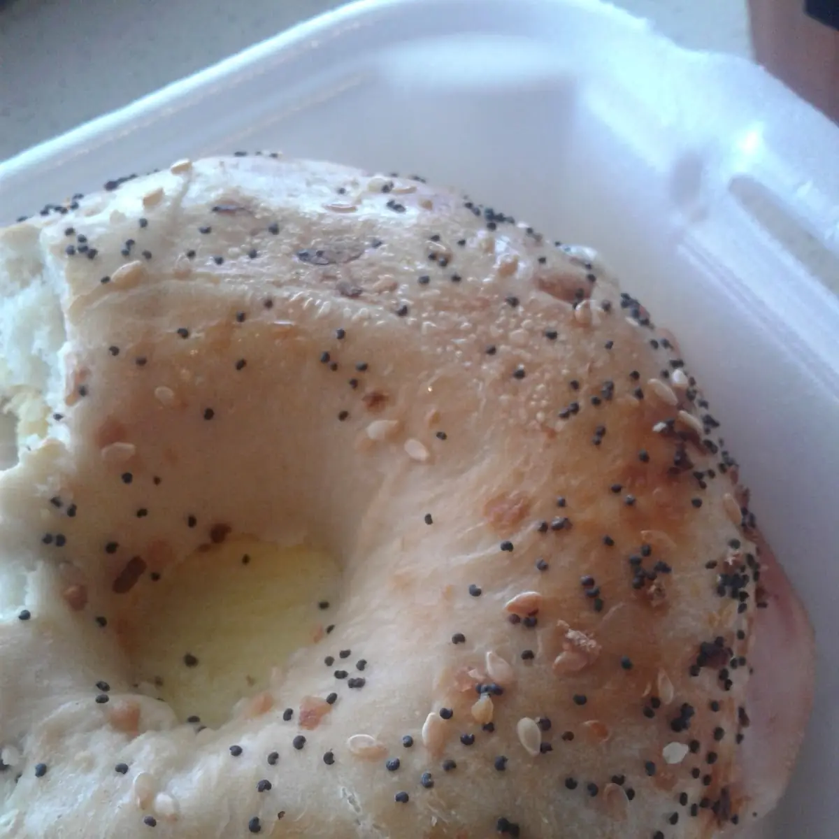 Everything Bagel with Cream Cheese and Ham