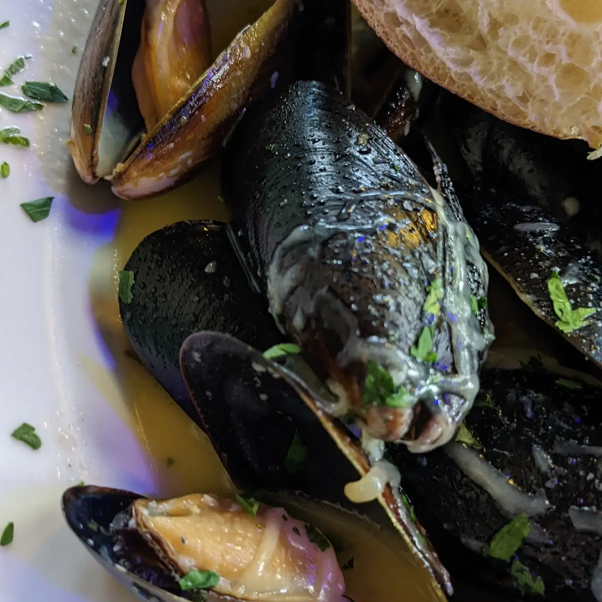 Steamed Clams