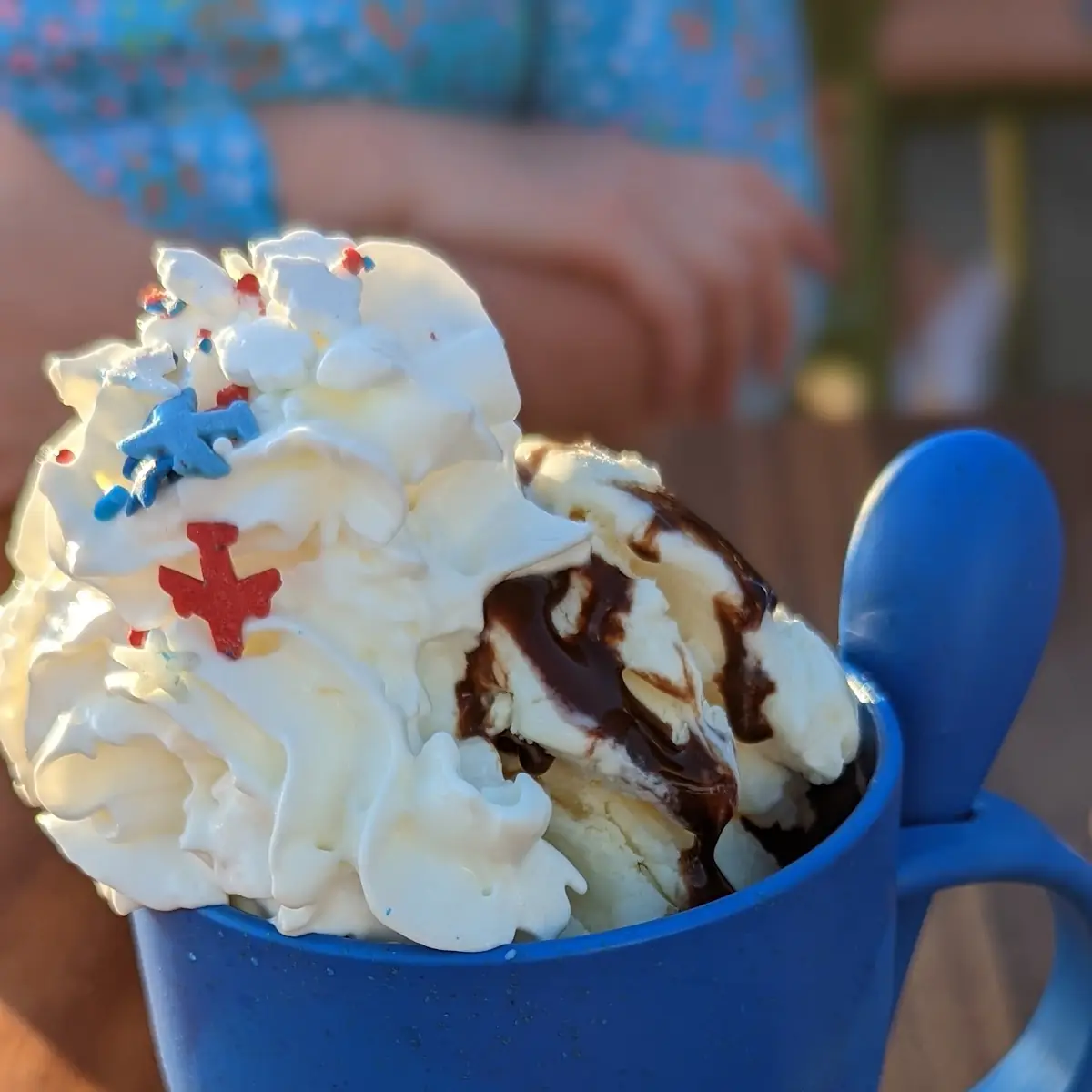 Brownie Ice Cream Sundae
