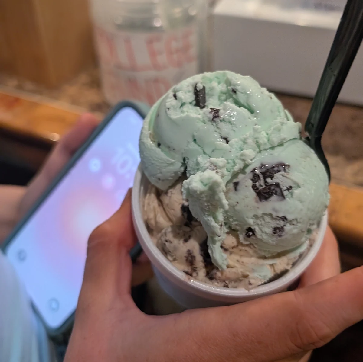 Mint Chocolate Chip