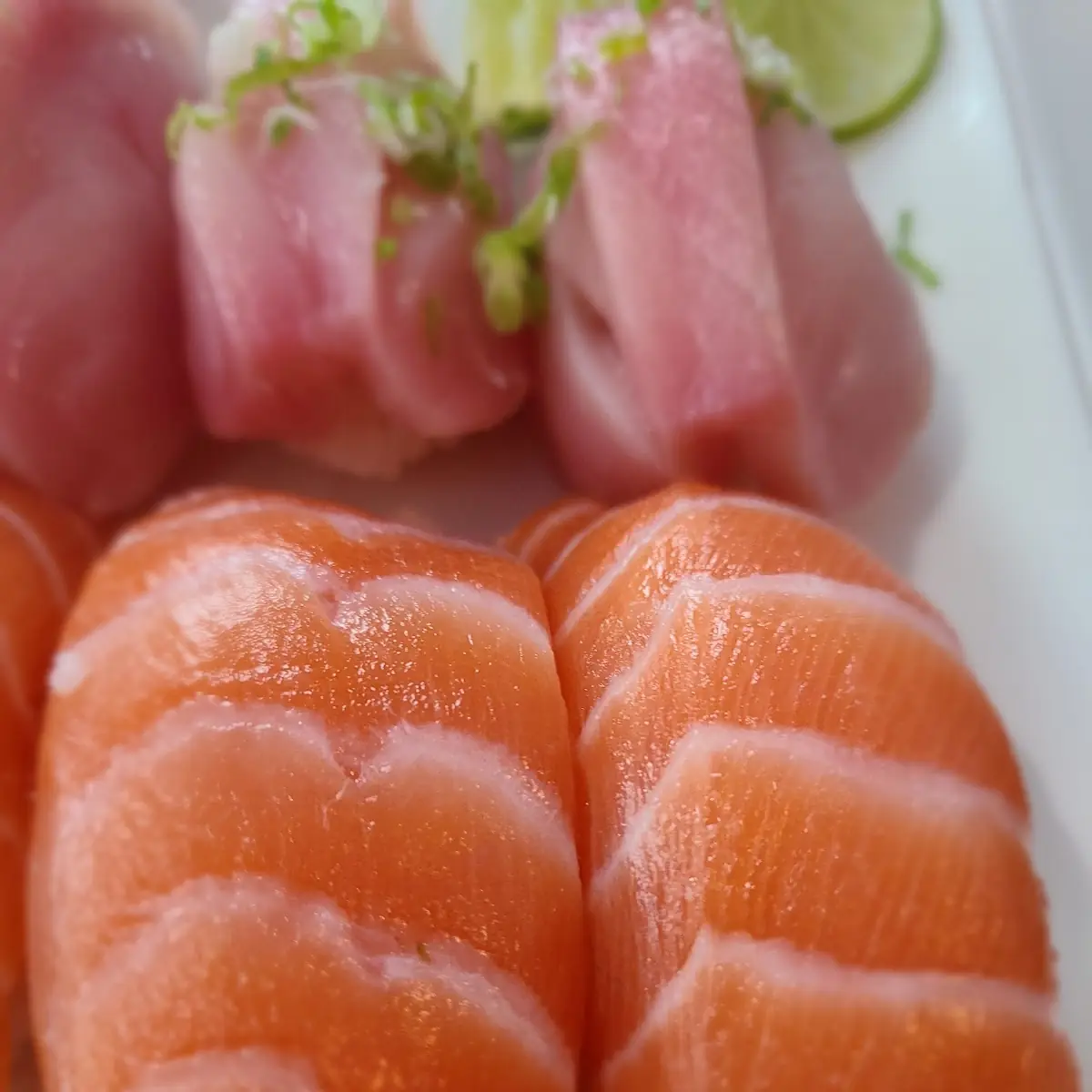 Salmon Nigiri