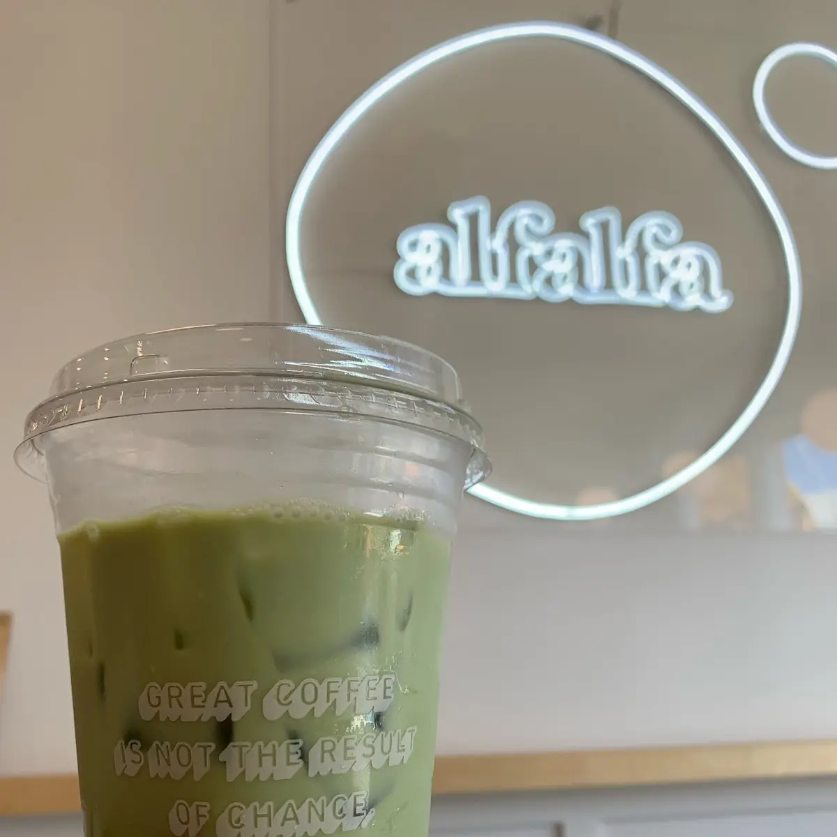 Iced Matcha Latte