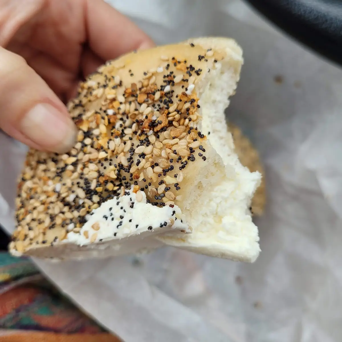 Everything Bagel with Cream Cheese
