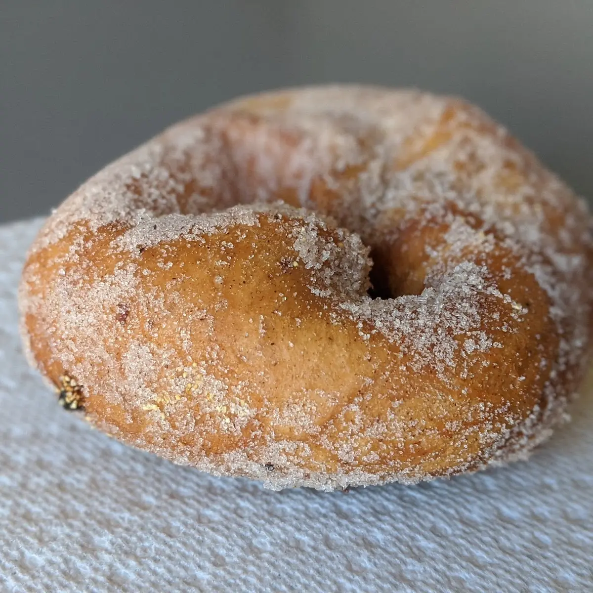 Doughnut