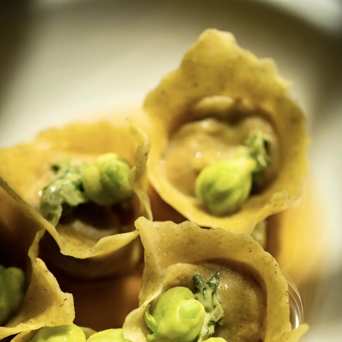 Goat Cheese Triangoli w Chantrelles