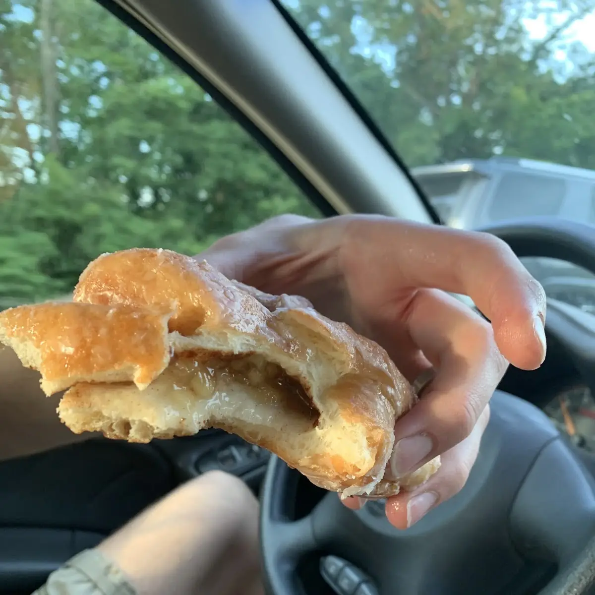 Cinnamon Apple Pie