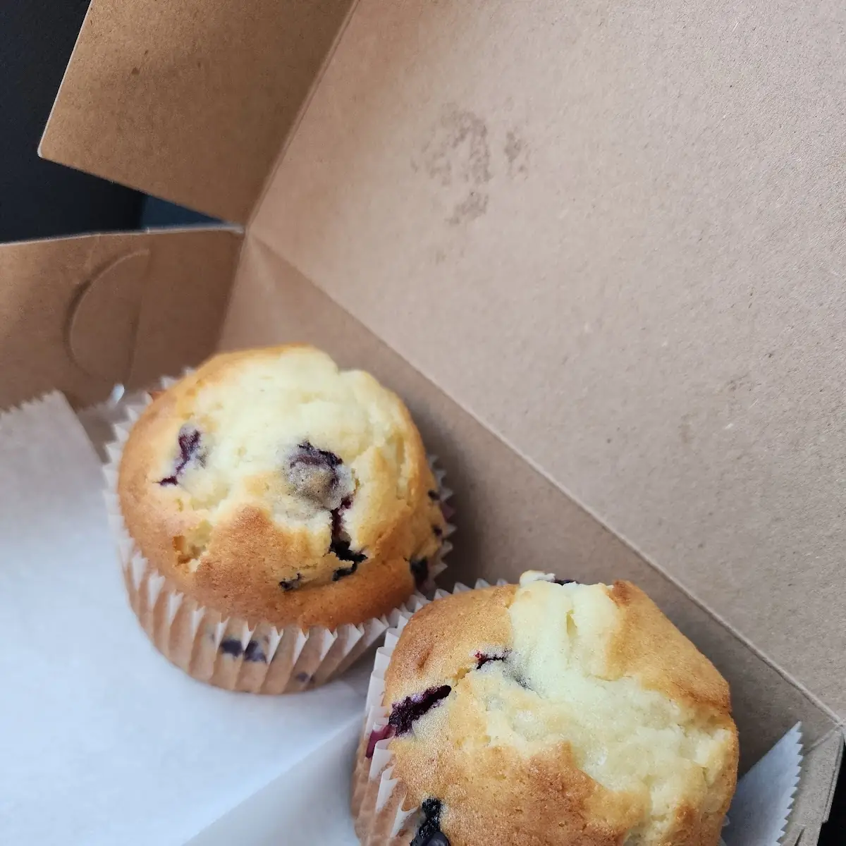 Blueberry Muffin