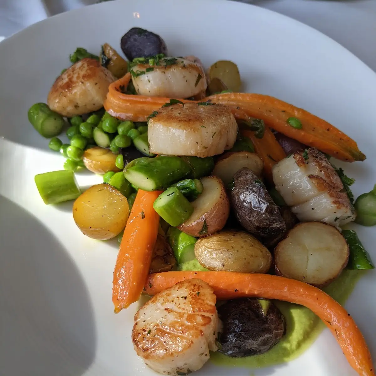 Pan Seared Sea Scallops