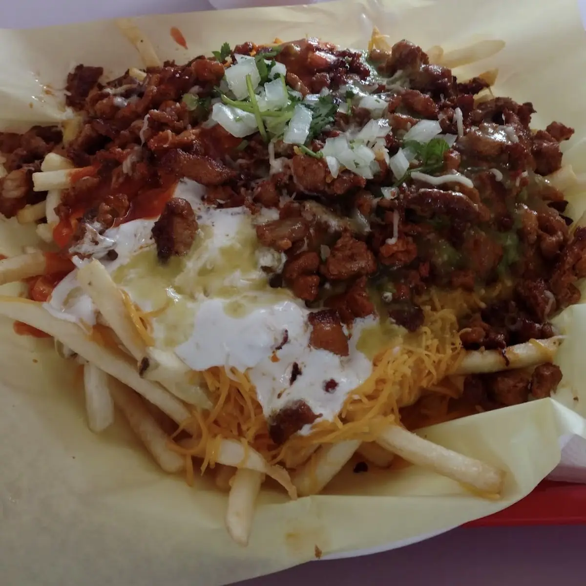 Carne Asada Fries