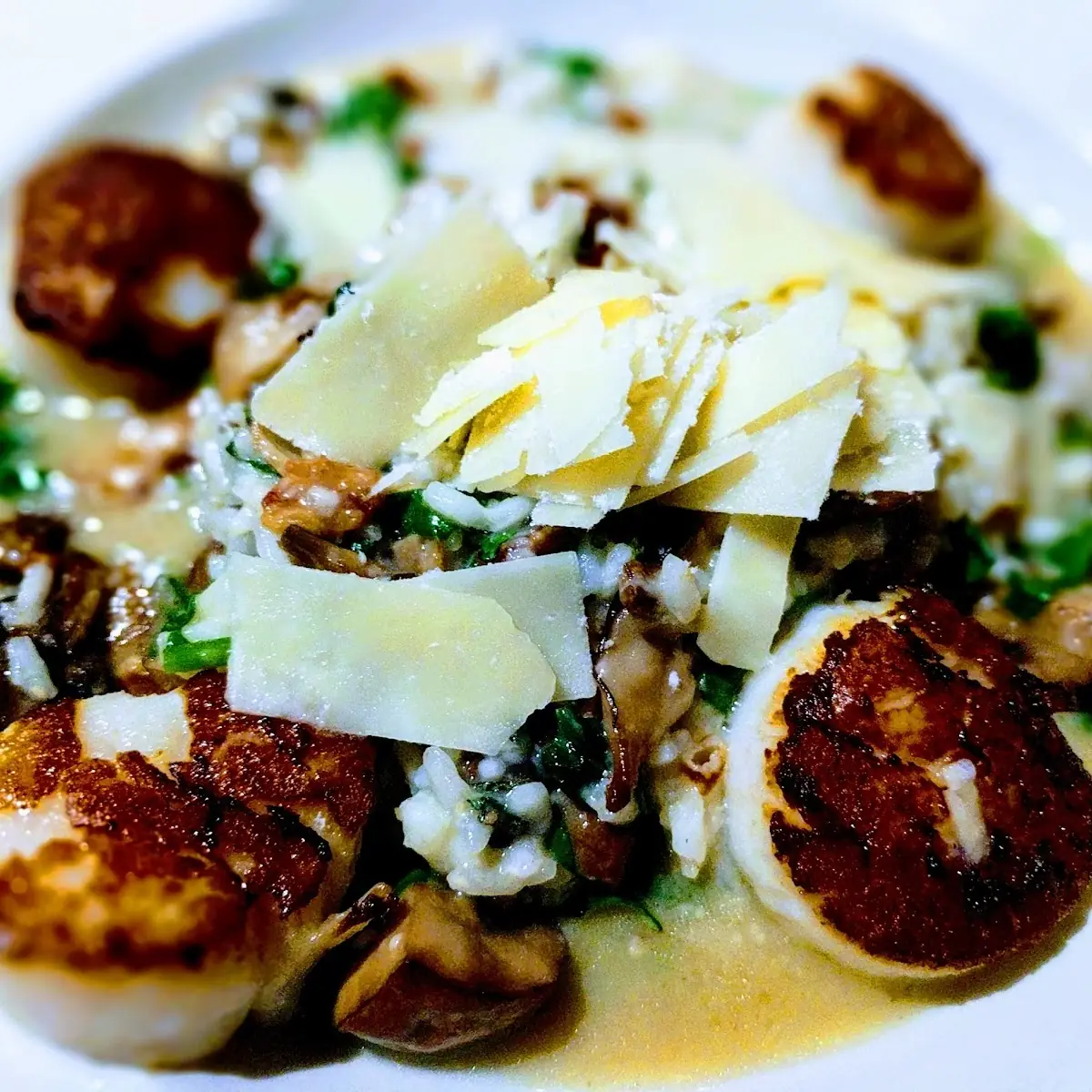 Risotto & Sea Scallops