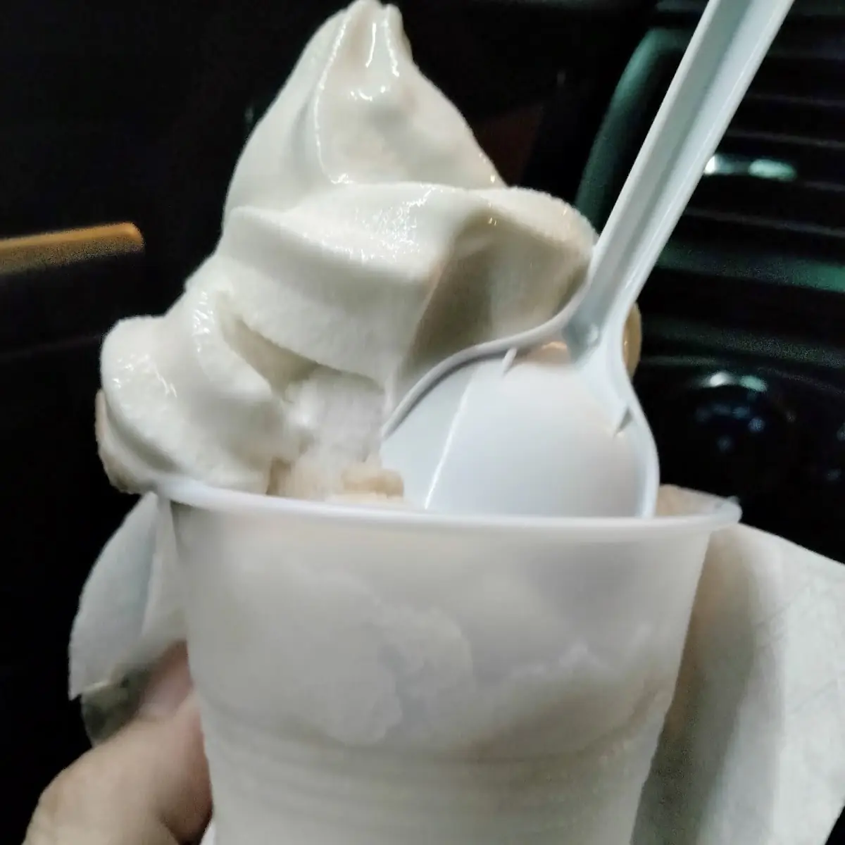 Vanilla Bean