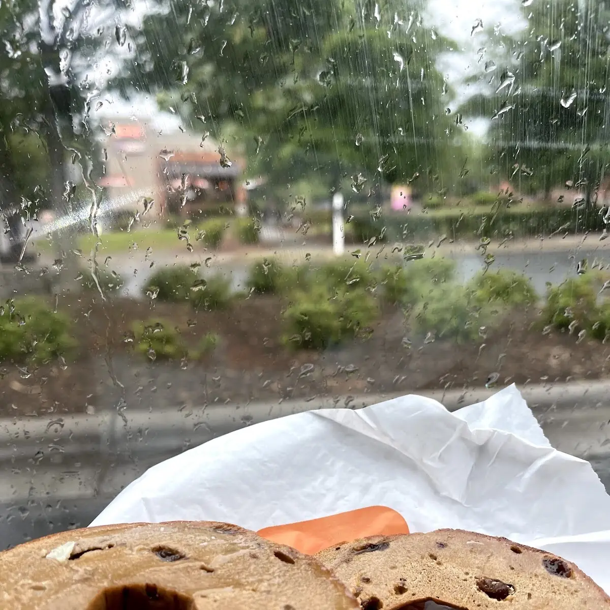 Cinnamon Raisin Bagel