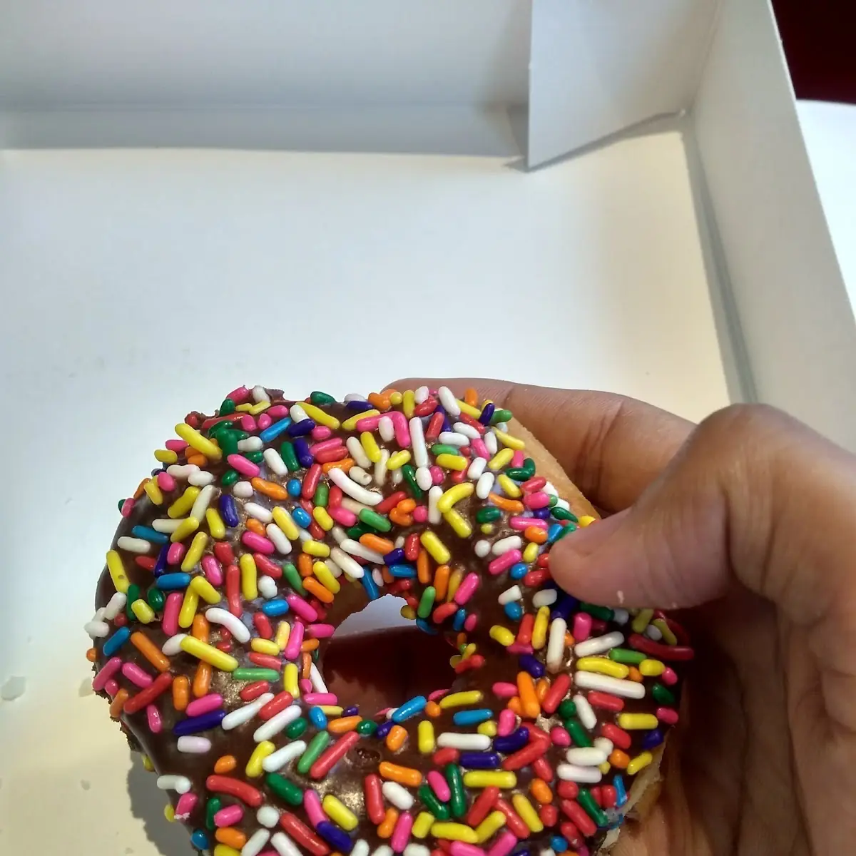 Half Dozen Cake Donut