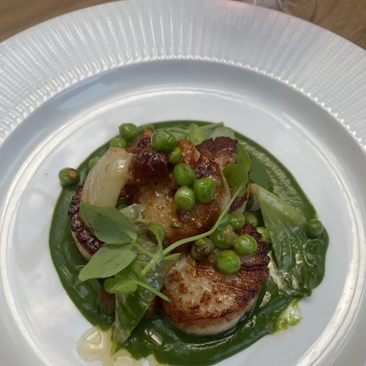 Seared Scallops 32