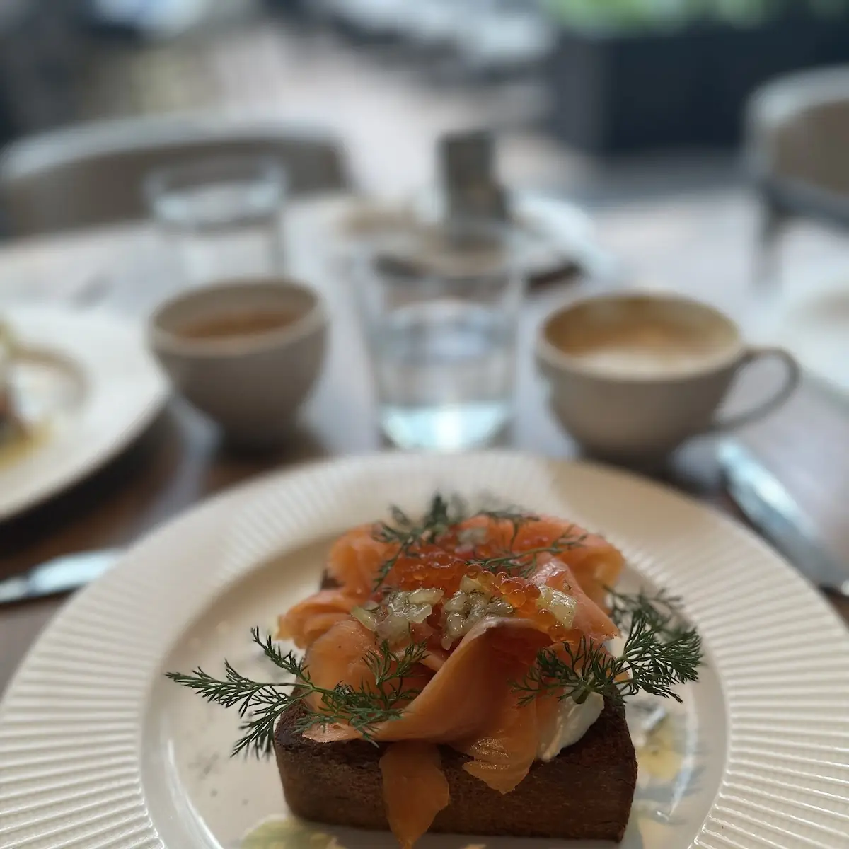Smoked Salmon Tartine 14