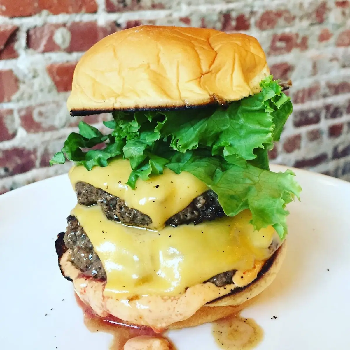 Double Cheeseburger