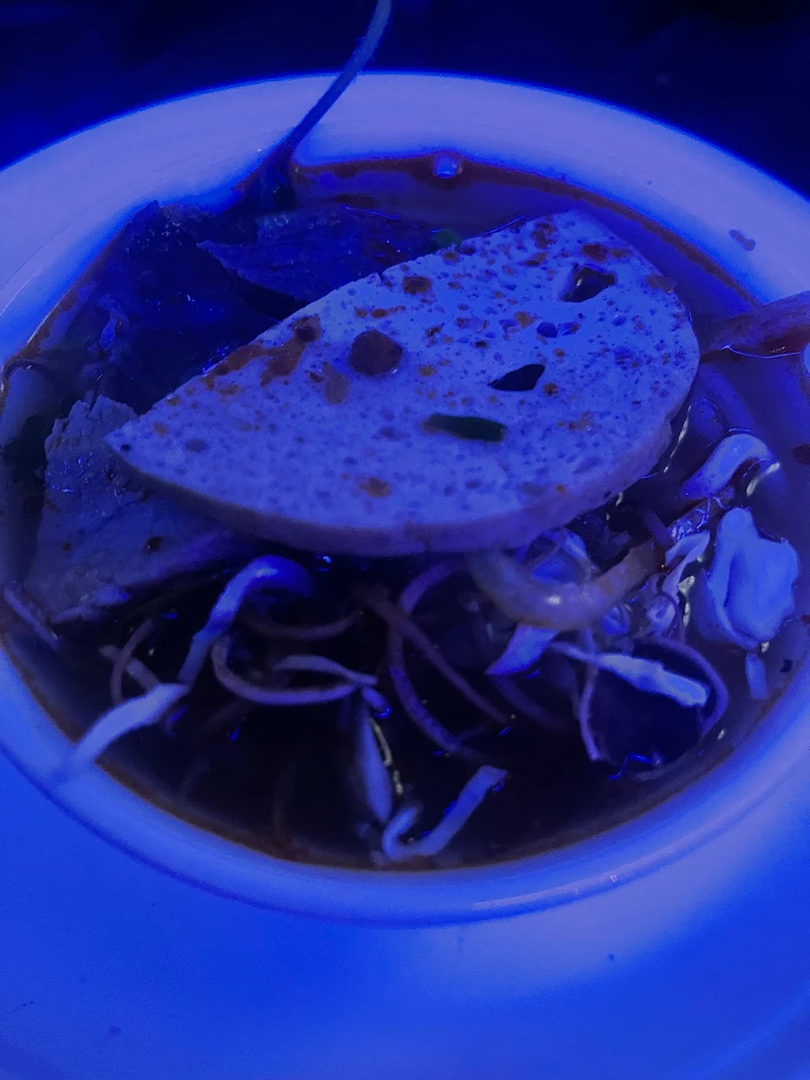 Bun Bo Hue