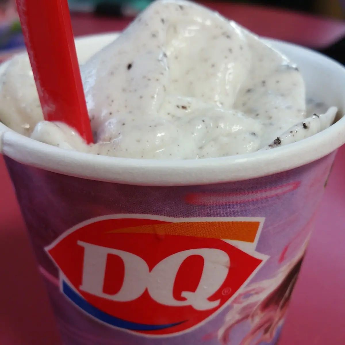 Oreo Blizzard Treat