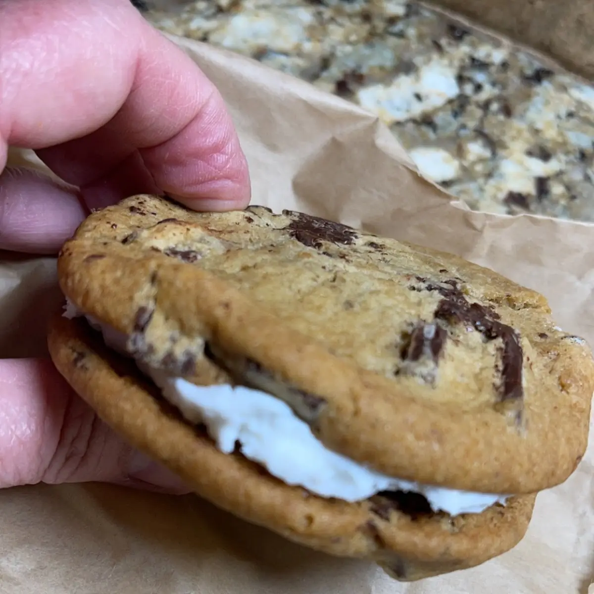 Chocolate Cookie Sandwich
