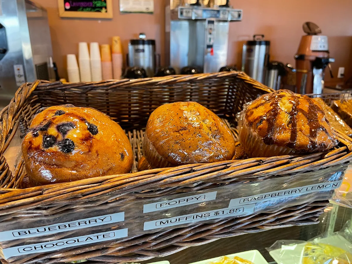 Blueberry Muffin