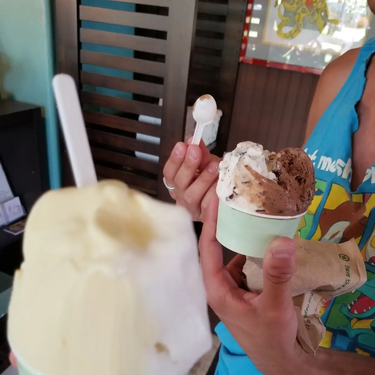 Chocolate Ice Cream