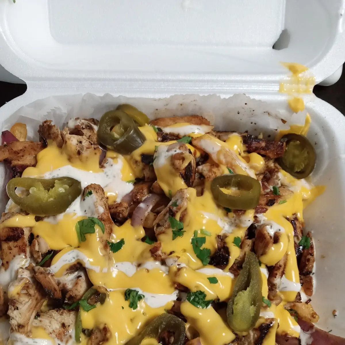 Crispy Loaded Fries