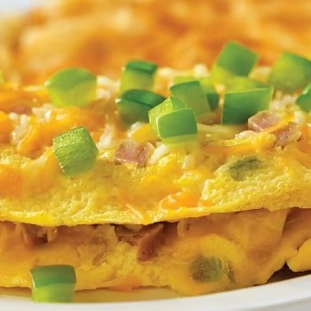 2 Egg Cheese Omelette
