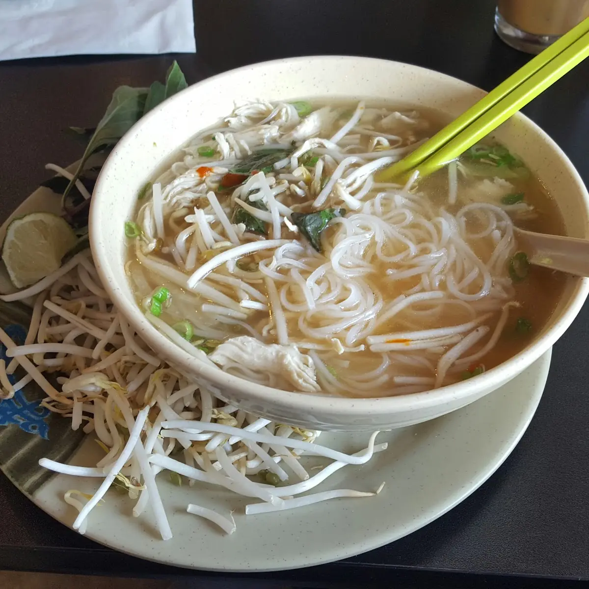 Chicken Noodle Soup Pho GA