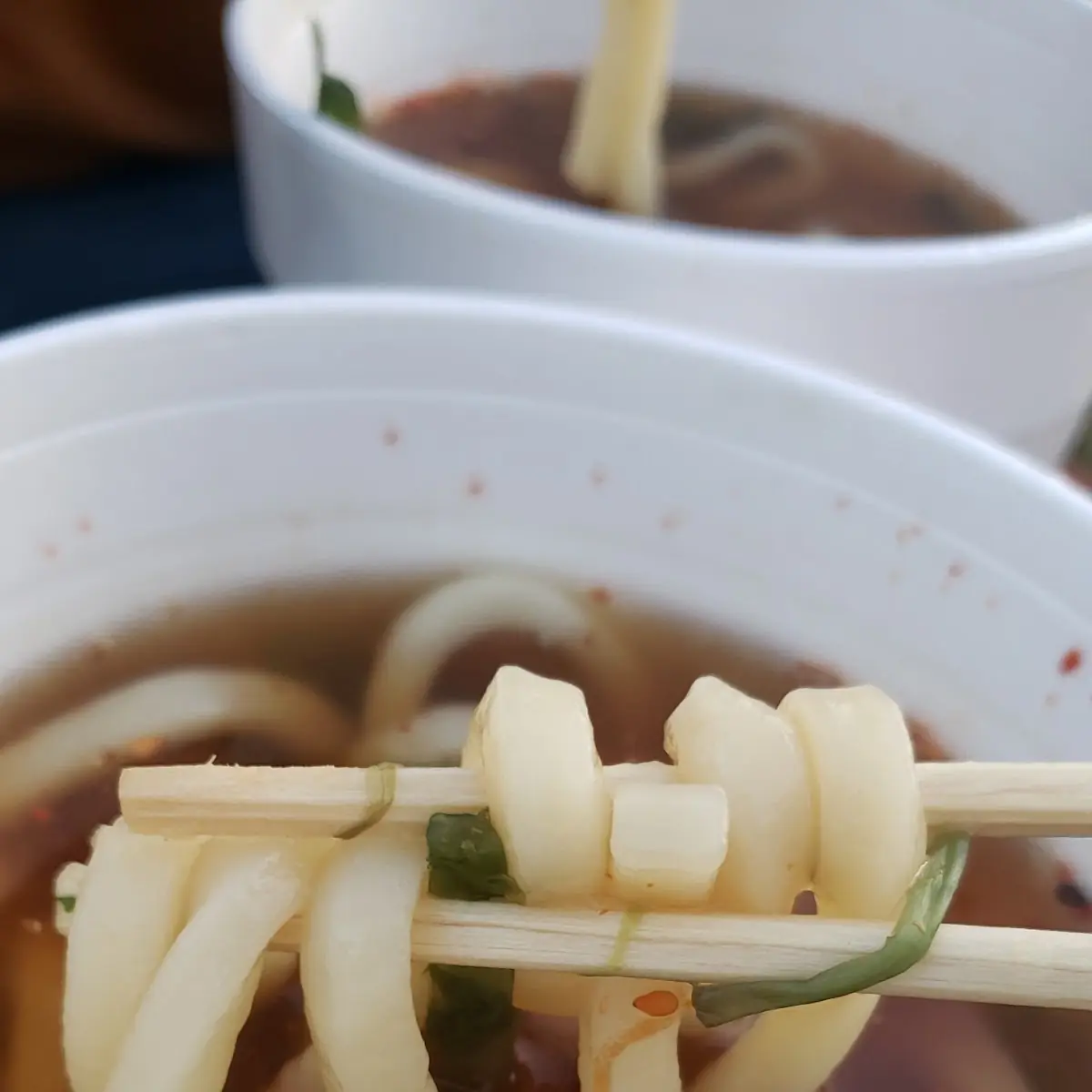 Udon Noodle Soup