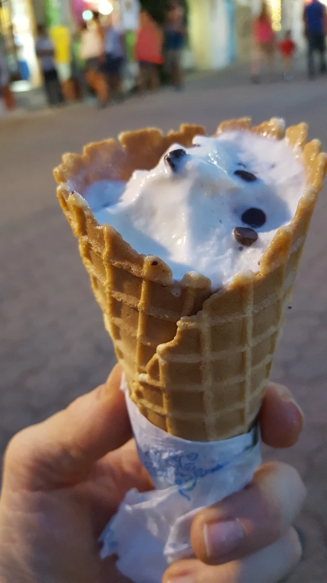 Chocolate Chip Ice Cream