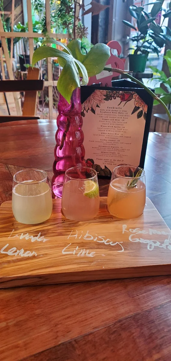 Mimosa Flight