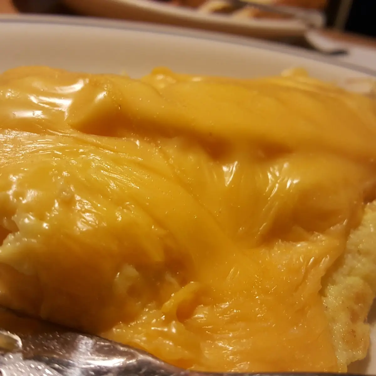 Egg and Cheese Extra Cheese Omelet