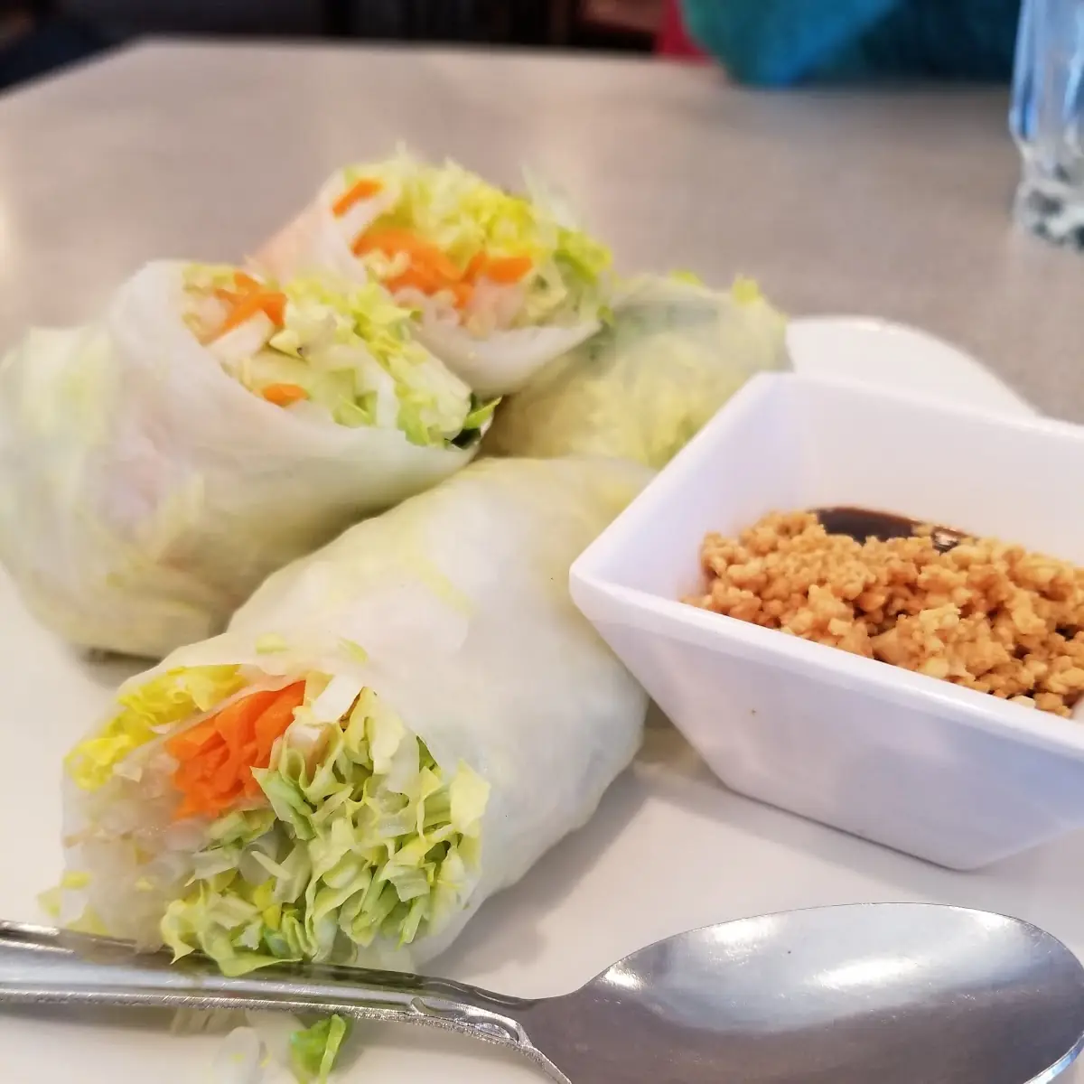 Fresh Spring Rolls