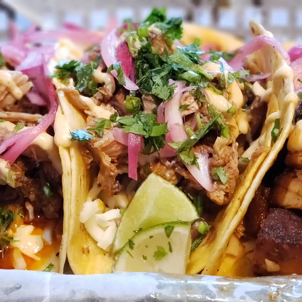 Tacos Carnitas