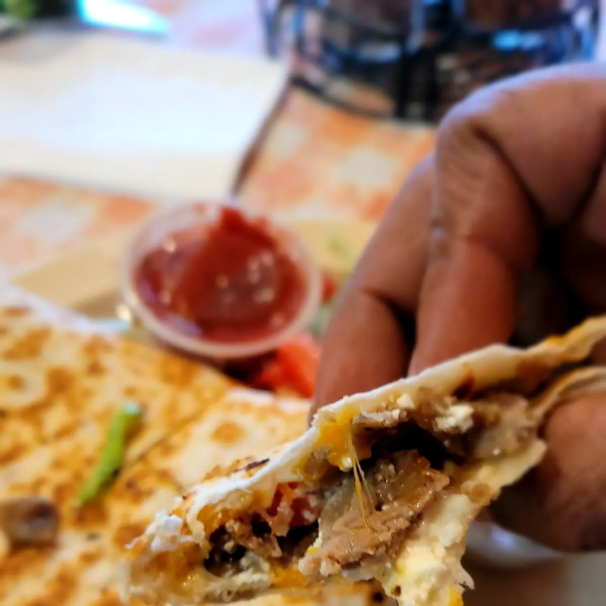 Vegetarian Quesadilla