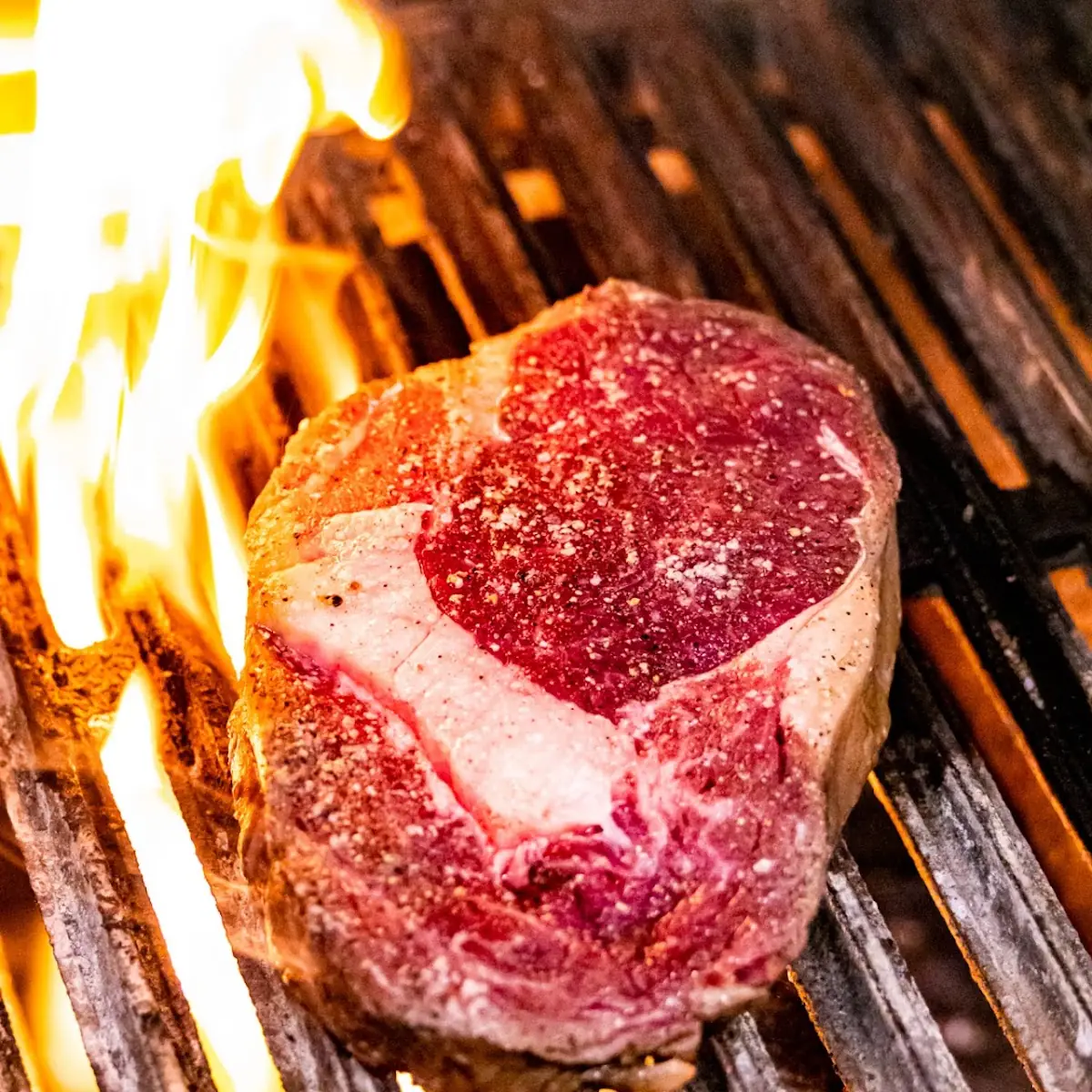 Grilled Bison Rib Eye
