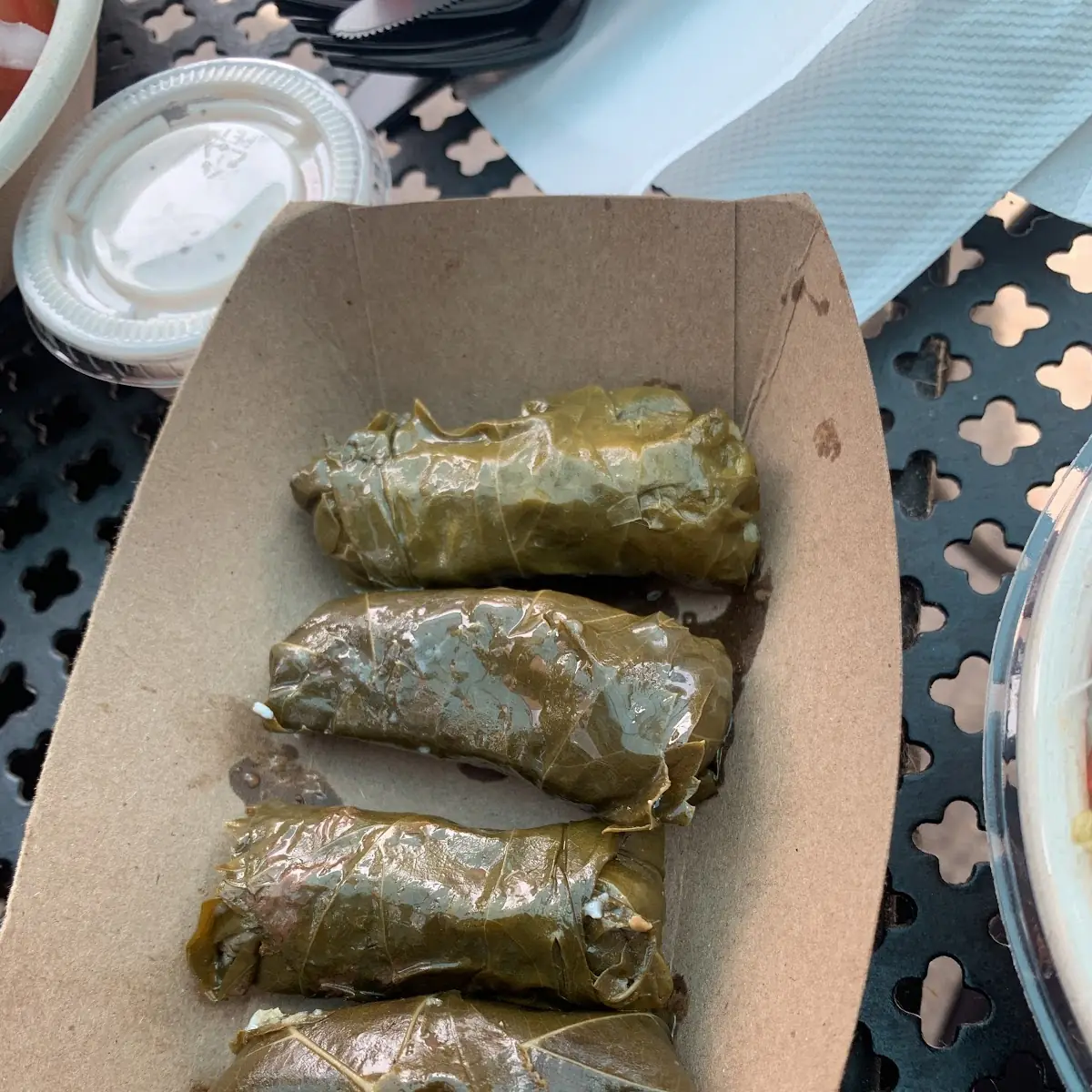 Hummus Dolmas