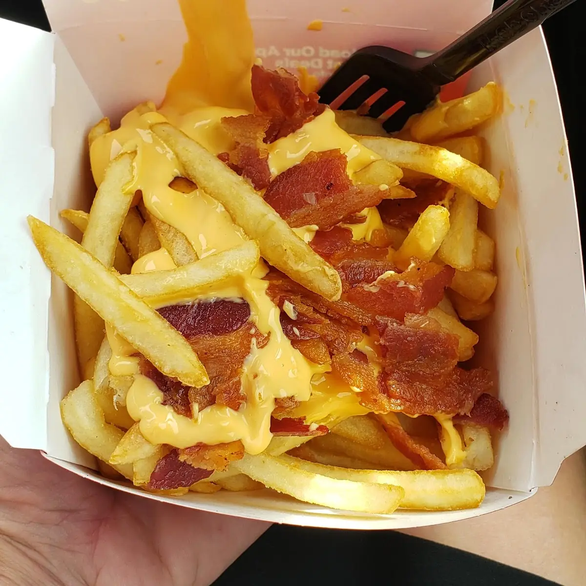 Bacon Cheddar