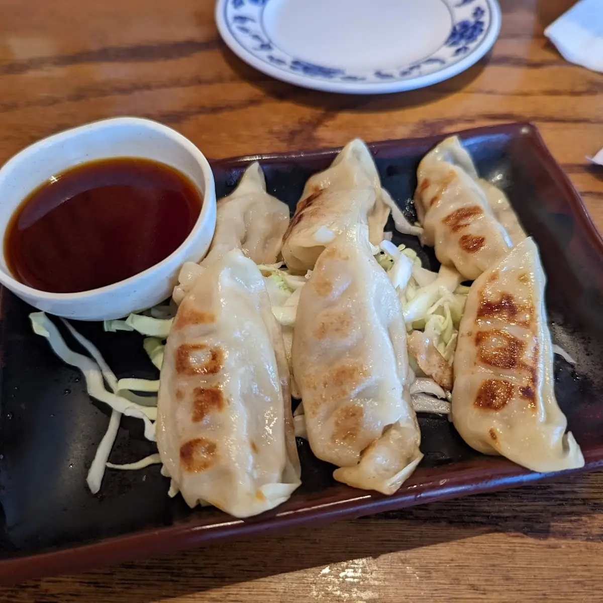 Pan Fried Pork Gyoza
