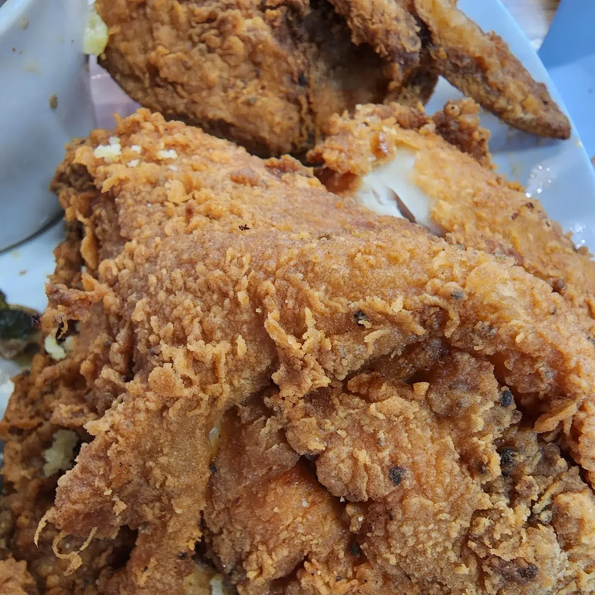 Fried Chicken Breast