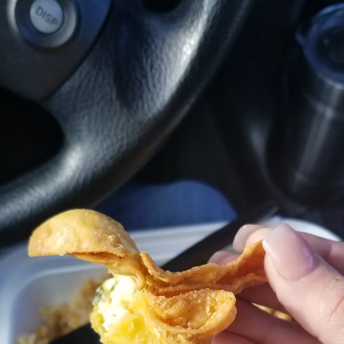 Cheese Wonton Missing Parts