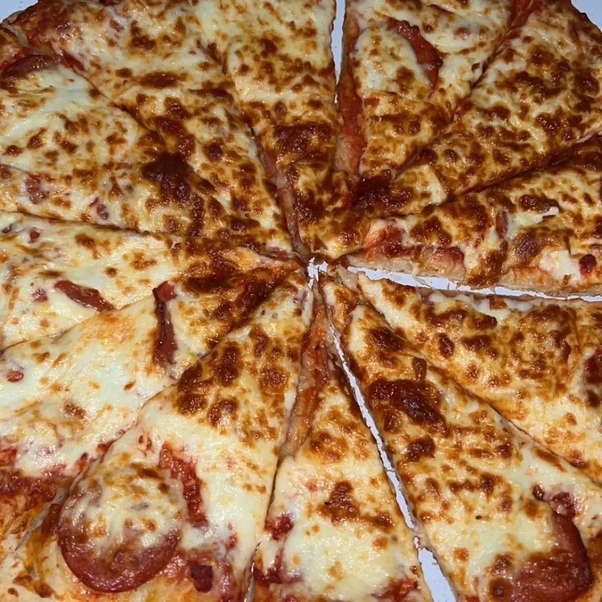 Plain Cheese Pizza