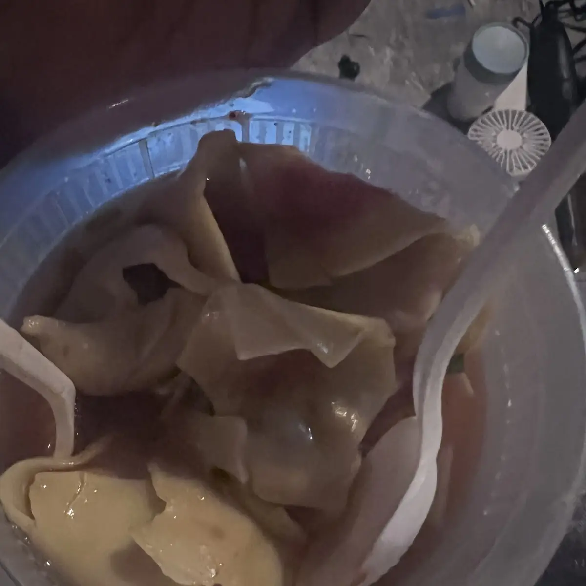 Wonton Soup