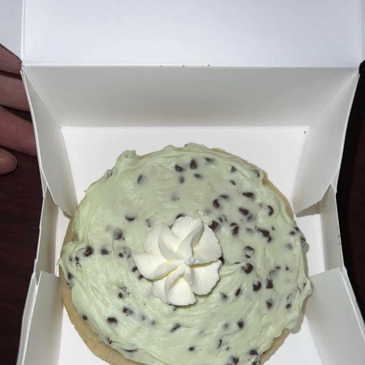 Mint Chocolate Chip