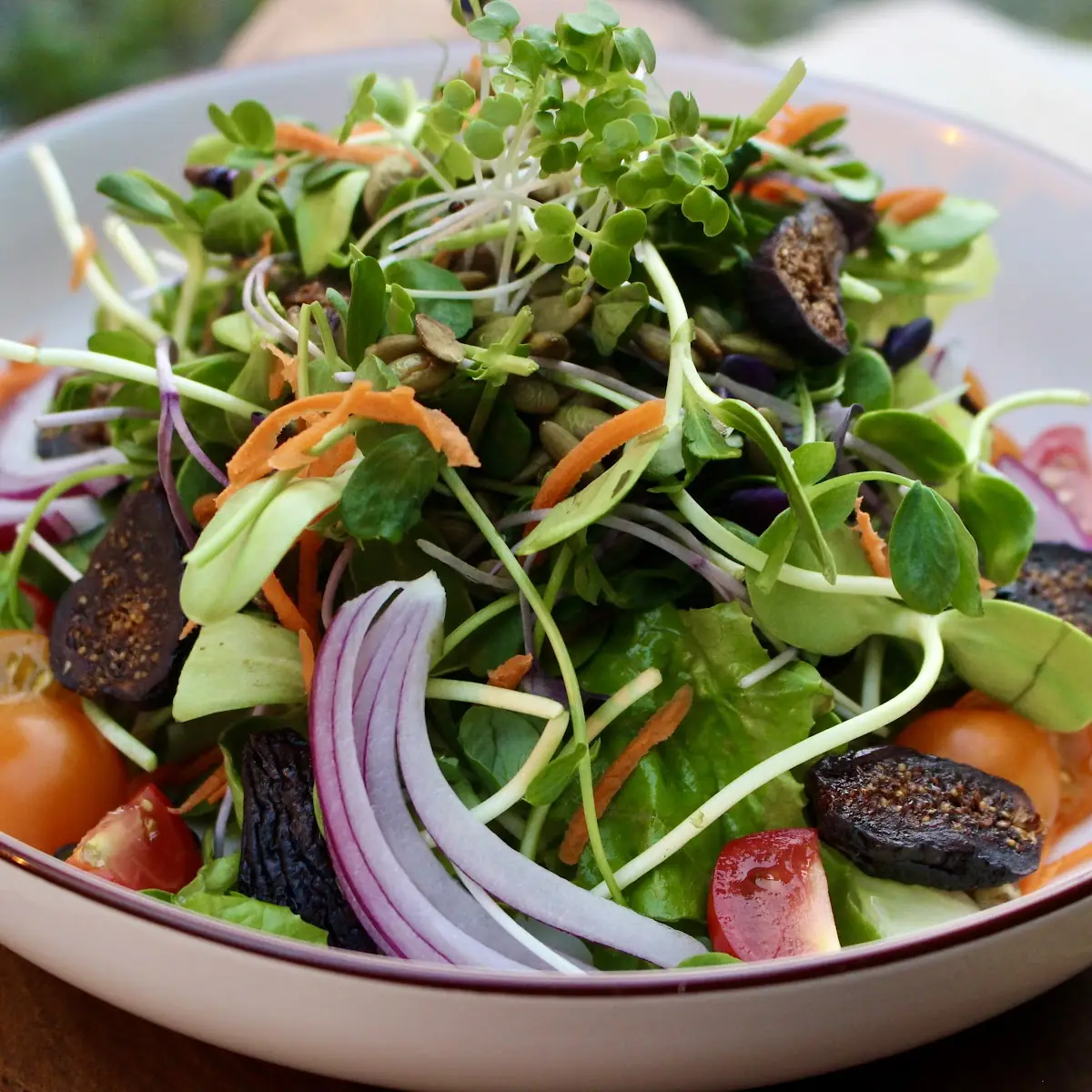 House Micro Green Salad